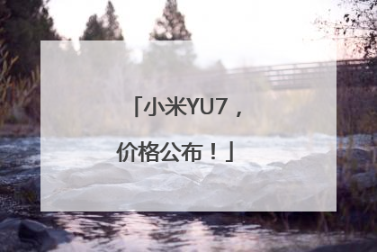 小米YU7，价格公布！