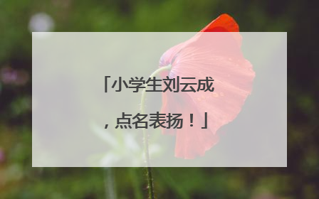 小学生刘云成，点名表扬！
