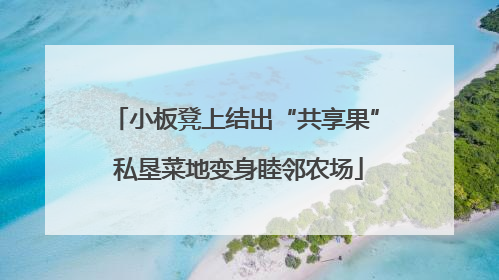 小板凳上结出“共享果” 私垦菜地变身睦邻农场