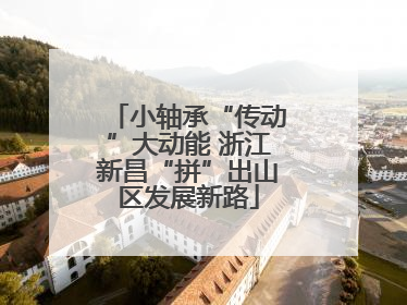 小轴承“传动”大动能 浙江新昌“拼”出山区发展新路