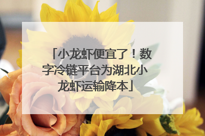 小龙虾便宜了！数字冷链平台为湖北小龙虾运输降本