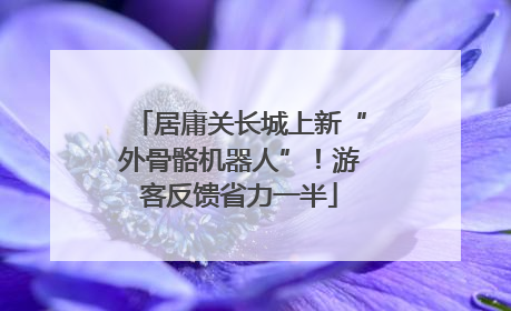 居庸关长城上新“外骨骼机器人”！游客反馈省力一半
