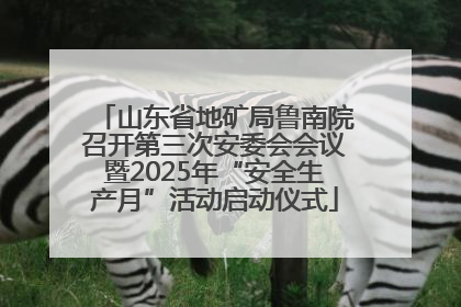 山东省地矿局鲁南院召开第三次安委会会议暨2025年“安全生产月”活动启动仪式