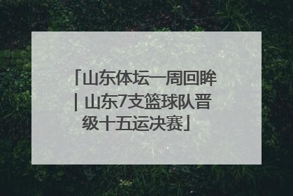山东体坛一周回眸｜山东7支篮球队晋级十五运决赛
