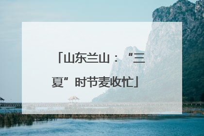 山东兰山：“三夏”时节麦收忙