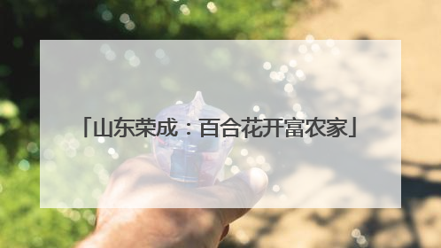 山东荣成：百合花开富农家