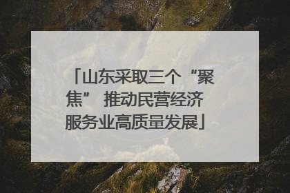 山东采取三个“聚焦” 推动民营经济服务业高质量发展