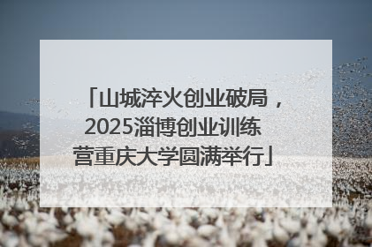 山城淬火创业破局，2025淄博创业训练营重庆大学圆满举行
