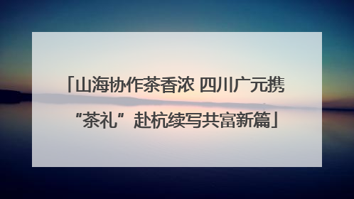 山海协作茶香浓 四川广元携“茶礼”赴杭续写共富新篇