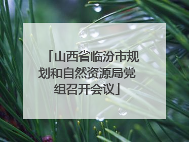 山西省临汾市规划和自然资源局党组召开会议