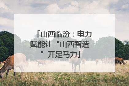 山西临汾：电力赋能让“山西智造”开足马力