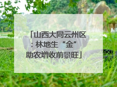 山西大同云州区：林地生“金” 助农增收前景旺