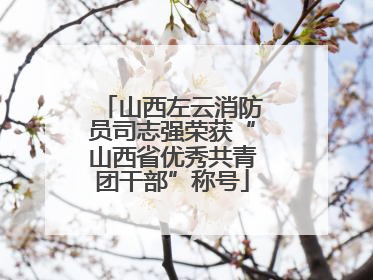 山西左云消防员司志强荣获“山西省优秀共青团干部”称号