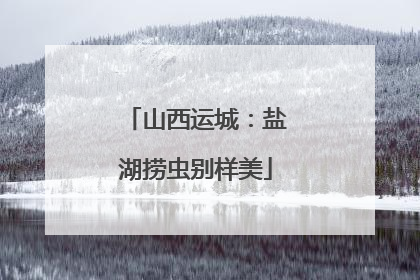 山西运城：盐湖捞虫别样美