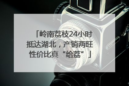 岭南荔枝24小时抵达湖北，产销两旺性价比真“给荔”