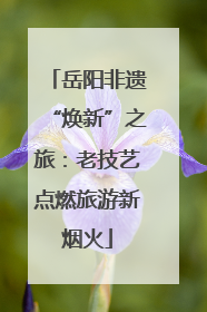 岳阳非遗“焕新”之旅：老技艺点燃旅游新烟火