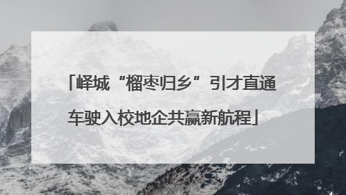 峄城“榴枣归乡”引才直通车驶入校地企共赢新航程