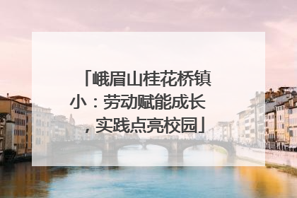 峨眉山桂花桥镇小：劳动赋能成长，实践点亮校园
