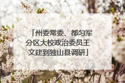 州委常委、都匀军分区大校政治委员王文建到独山县调研