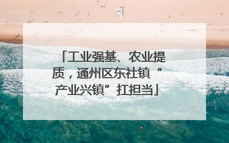 工业强基、农业提质，通州区东社镇“产业兴镇”扛担当