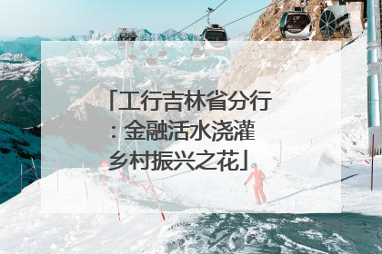 工行吉林省分行：金融活水浇灌 乡村振兴之花