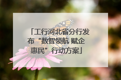 工行河北省分行发布“数智领航 赋企惠民”行动方案