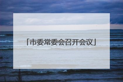 市委常委会召开会议