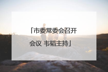市委常委会召开会议 韦韬主持