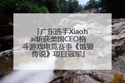 广东选手Xiaohai斩获美国CEO格斗游戏电竞赛事《饿狼传说》项目冠军
