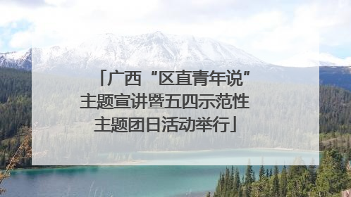 广西“区直青年说”主题宣讲暨五四示范性主题团日活动举行