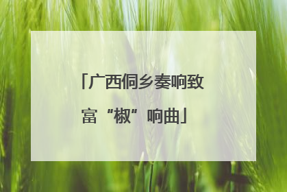 广西侗乡奏响致富“椒”响曲