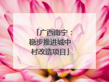 广西南宁：稳步推进城中村改造项目