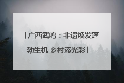 广西武鸣：非遗焕发蓬勃生机 乡村添光彩