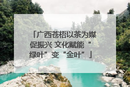 广西苍梧以茶为媒促振兴 文化赋能“绿叶”变“金叶”