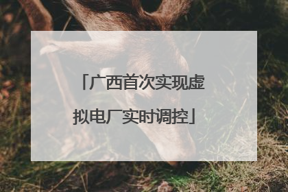 广西首次实现虚拟电厂实时调控