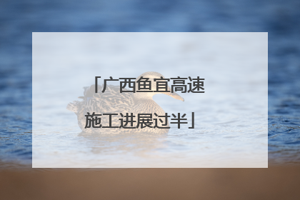 广西鱼宜高速施工进展过半