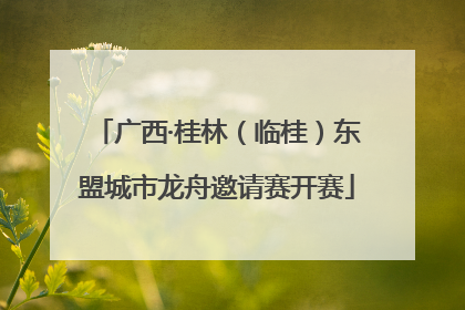 广西·桂林（临桂）东盟城市龙舟邀请赛开赛