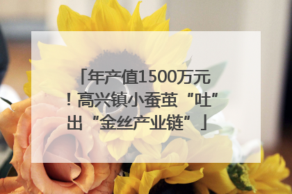 年产值1500万元！高兴镇小蚕茧“吐”出“金丝产业链”