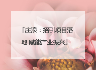 庄浪：招引项目落地 赋能产业振兴