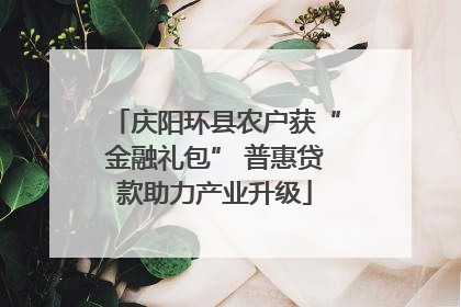 庆阳环县农户获“金融礼包” 普惠贷款助力产业升级