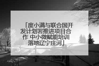 度小满与联合国开发计划署推进项目合作 中小微赋能培训落地辽宁庄河