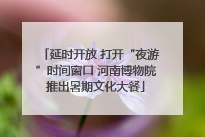 延时开放 打开“夜游”时间窗口 河南博物院推出暑期文化大餐
