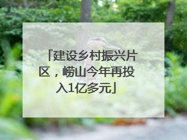 建设乡村振兴片区，崂山今年再投入1亿多元