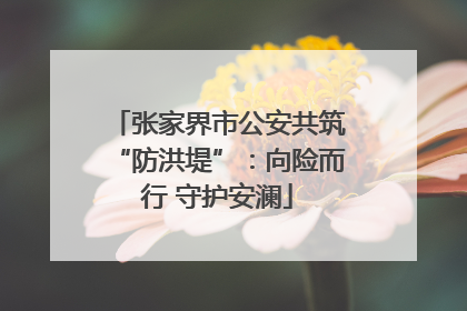 张家界市公安共筑“防洪堤”：向险而行 守护安澜