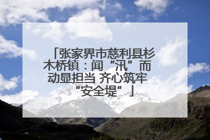 张家界市慈利县杉木桥镇：闻“汛”而动显担当 齐心筑牢“安全堤”