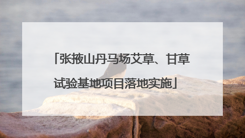 张掖山丹马场艾草、甘草试验基地项目落地实施