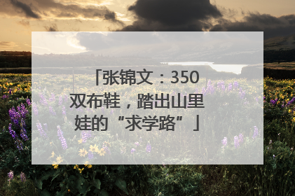 张锦文：350双布鞋，踏出山里娃的“求学路”