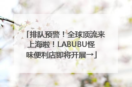 排队预警！全球顶流来上海啦！LABUBU怪味便利店即将开展→