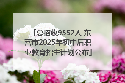 总招收9552人 东营市2025年初中后职业教育招生计划公布
