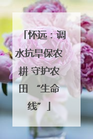 怀远：调水抗旱保农耕 守护农田 “生命线”
